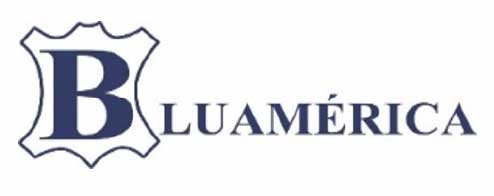 logo bluamerica